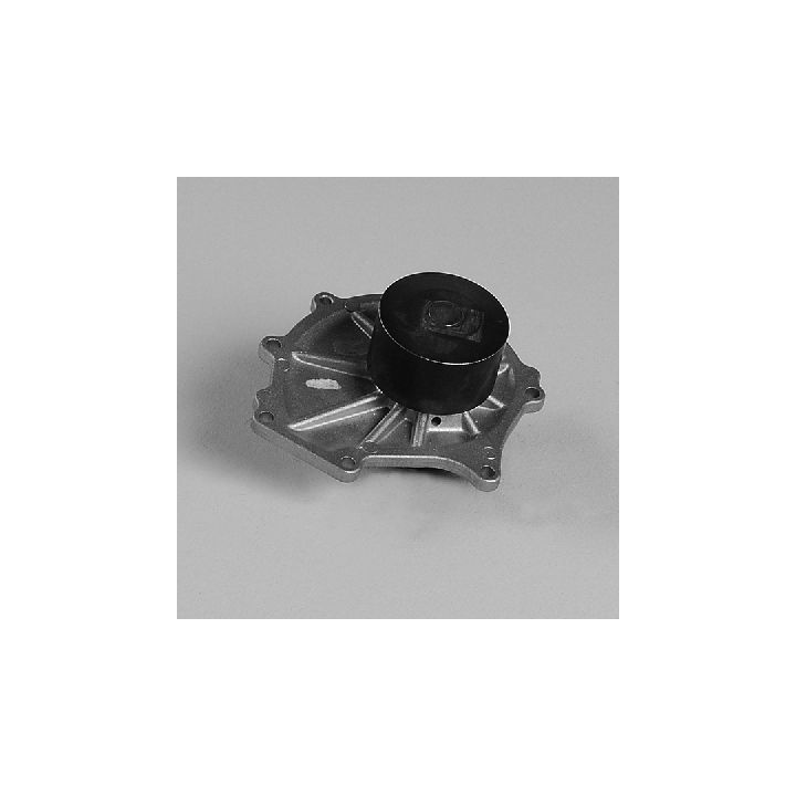 Vandens siurblys, variklio aušinimas HEPU P7981