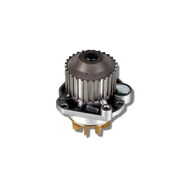 Vandens siurblys, variklio aušinimas HEPU P805