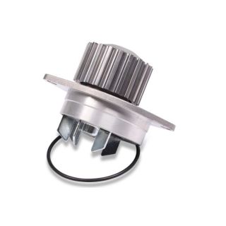 Vandens siurblys, variklio aušinimas HEPU P812