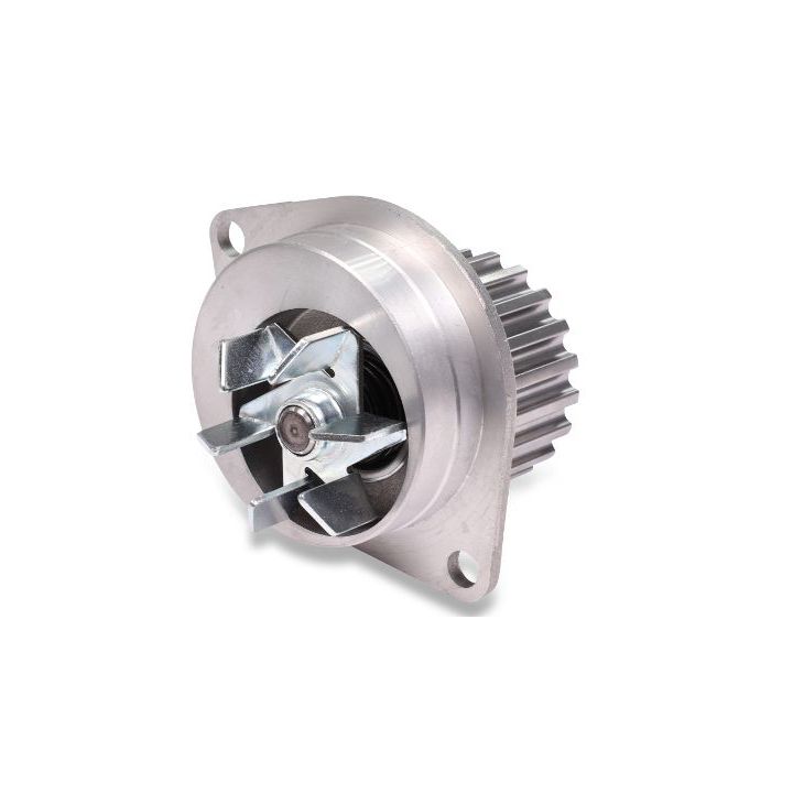 Vandens siurblys, variklio aušinimas HEPU P812