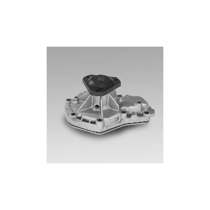 Vandens siurblys, variklio aušinimas HEPU P819