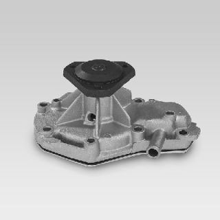 Vandens siurblys, variklio aušinimas HEPU P824