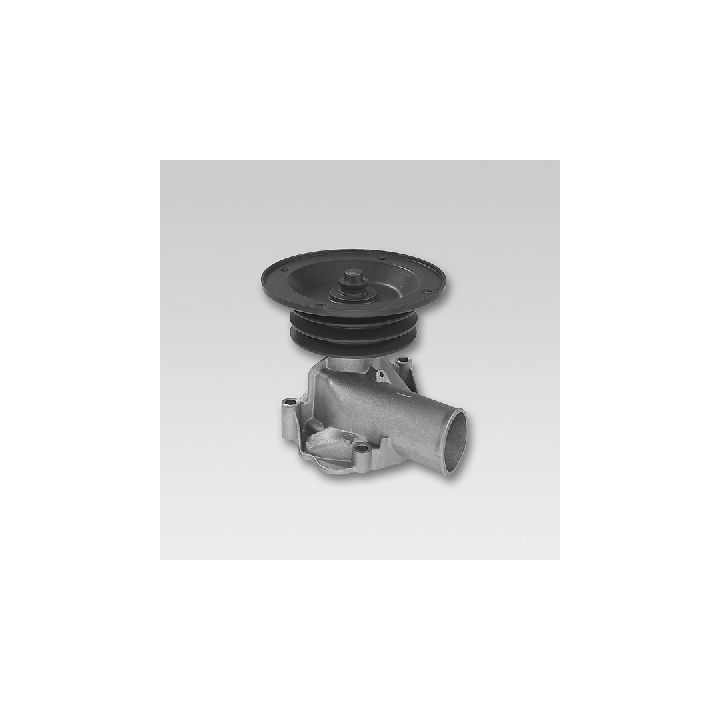 Vandens siurblys, variklio aušinimas HEPU P833