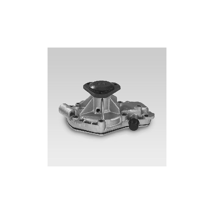 Vandens siurblys, variklio aušinimas HEPU P840