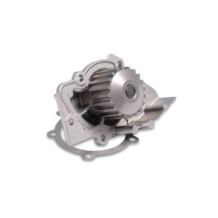 Vandens siurblys, variklio aušinimas HEPU P841