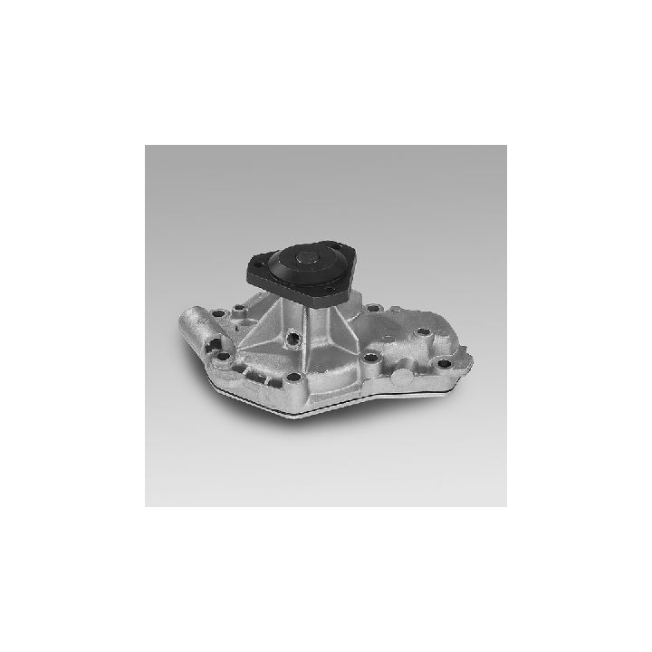 Vandens siurblys, variklio aušinimas HEPU P848