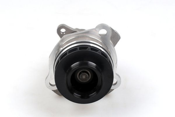 Vandens siurblys, variklio aušinimas HEPU P907