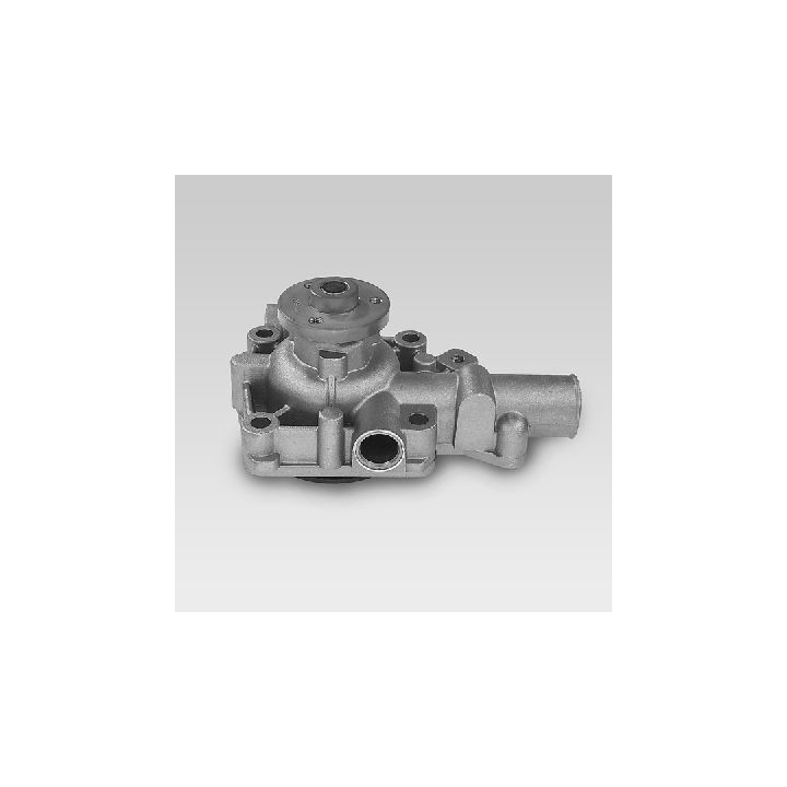 Vandens siurblys, variklio aušinimas HEPU P913