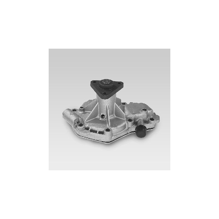 Vandens siurblys, variklio aušinimas HEPU P914