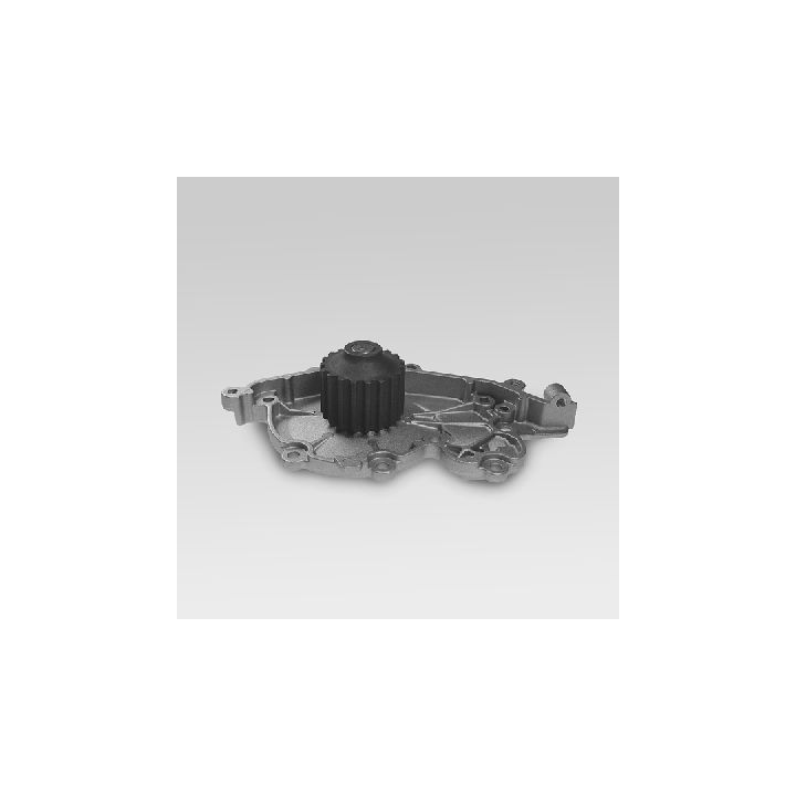 Vandens siurblys, variklio aušinimas HEPU P940