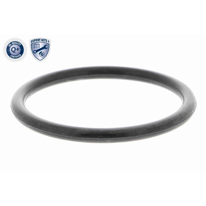 Termostatas, aušinimo skystis VEMO V25-99-1723