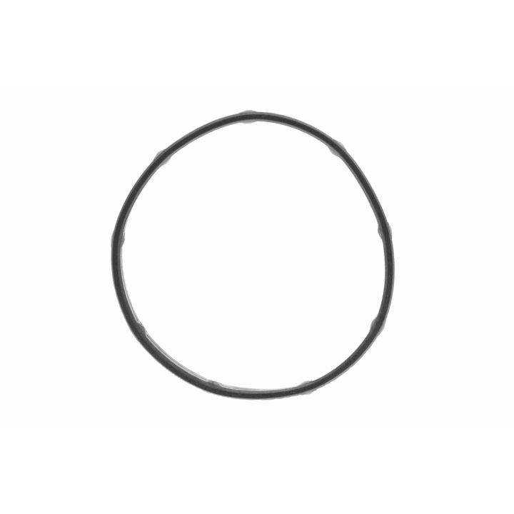 Termostatas, aušinimo skystis VEMO V30-99-0205