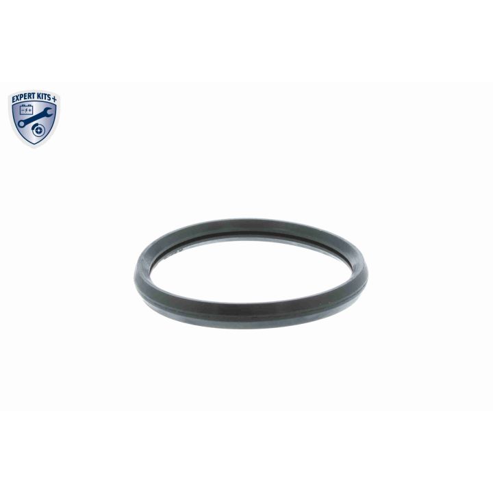 Termostatas, aušinimo skystis VEMO V46-99-1374