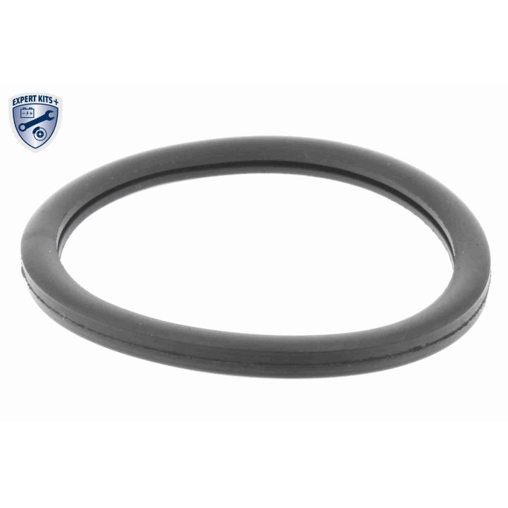 Termostatas, aušinimo skystis VEMO V46-99-1387