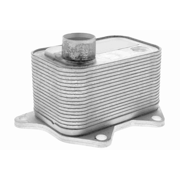 Alyvos aušintuvas, variklio alyva VEMO V15-60-0015