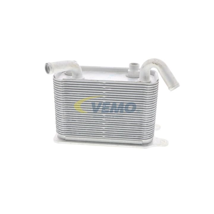 Alyvos aušintuvas, automatinė transmisija VEMO V15-60-6067