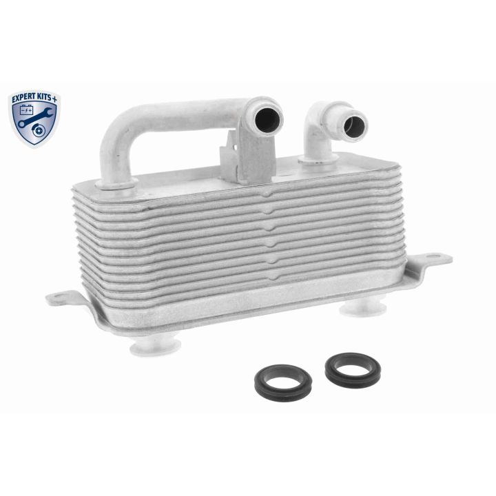 Alyvos aušintuvas, variklio alyva VEMO V20-60-0001