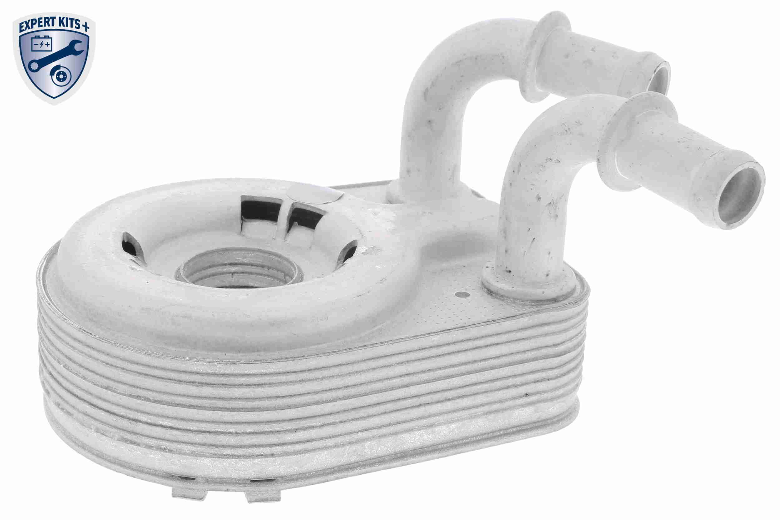 Alyvos aušintuvas, variklio alyva VEMO V24-60-0013