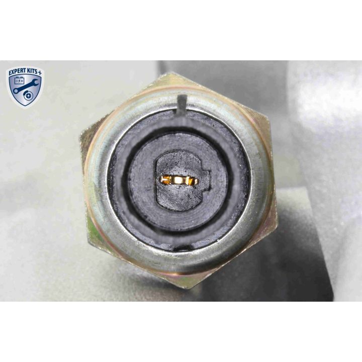 Alyvos aušintuvas, variklio alyva VEMO V24-60-0019