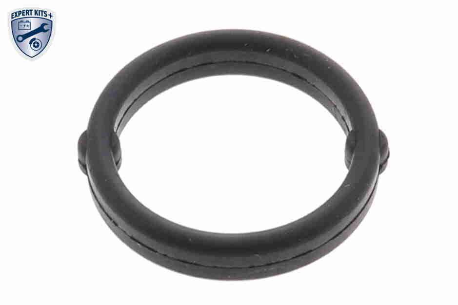 Alyvos aušintuvas, variklio alyva VEMO V24-60-0019