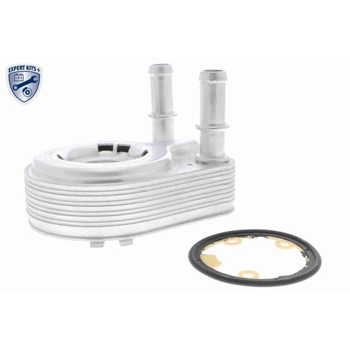 Alyvos aušintuvas, variklio alyva VEMO V24-60-0021