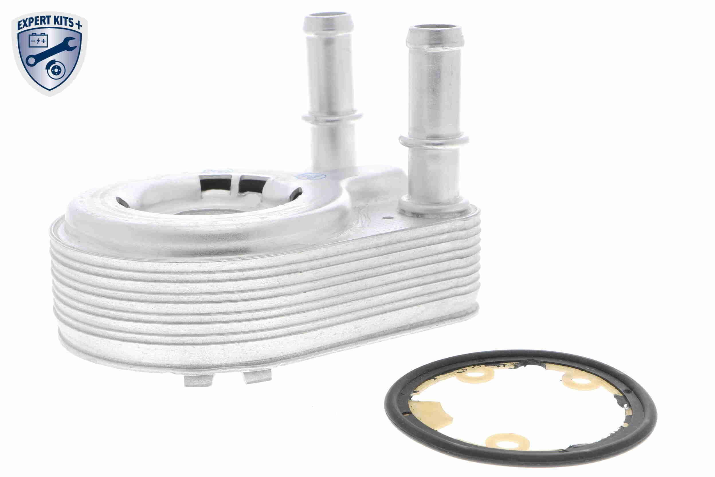 Alyvos aušintuvas, variklio alyva VEMO V24-60-0021