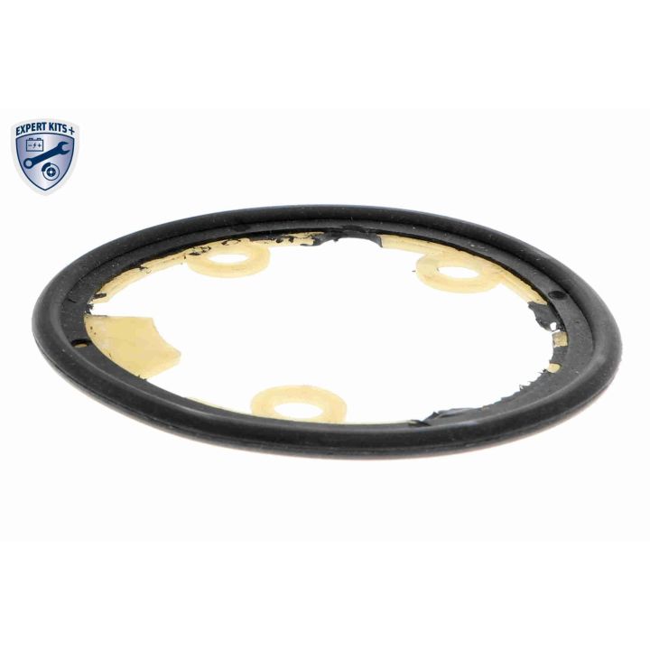 Alyvos aušintuvas, variklio alyva VEMO V24-60-0021