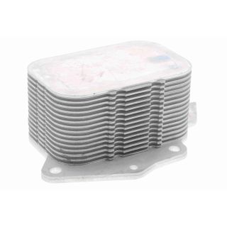 Alyvos aušintuvas, variklio alyva VEMO V25-60-0026