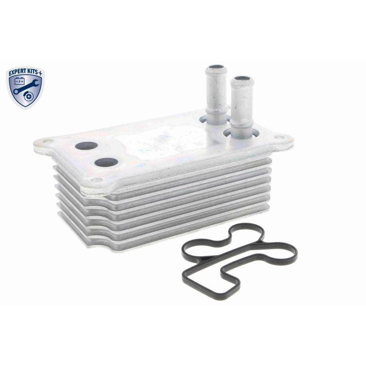 Alyvos aušintuvas, variklio alyva VEMO V25-60-0031