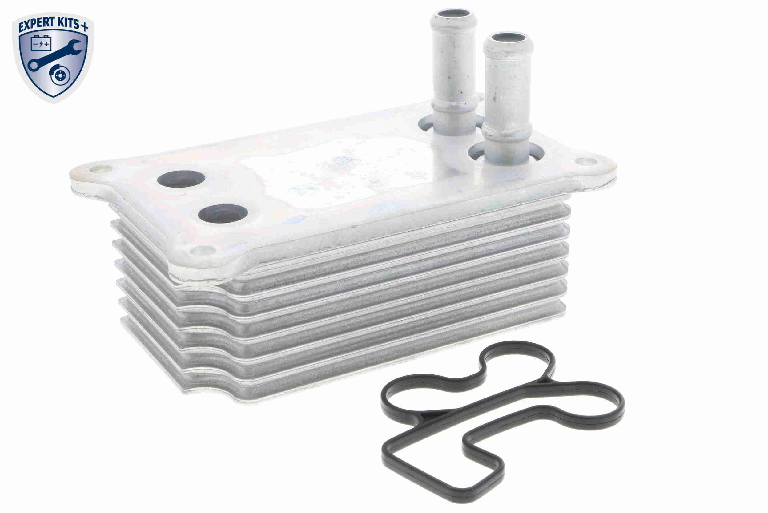 Alyvos aušintuvas, variklio alyva VEMO V25-60-0031