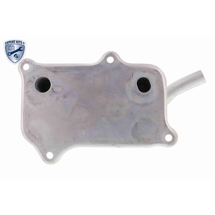 Alyvos aušintuvas, variklio alyva VEMO V30-60-1266