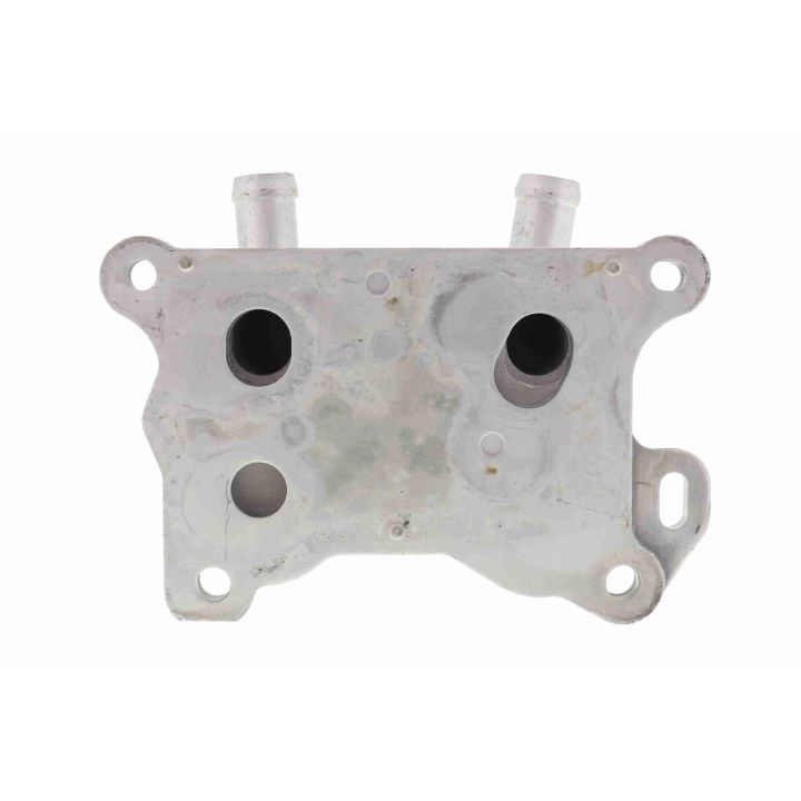 Alyvos aušintuvas, variklio alyva VEMO V38-60-0004