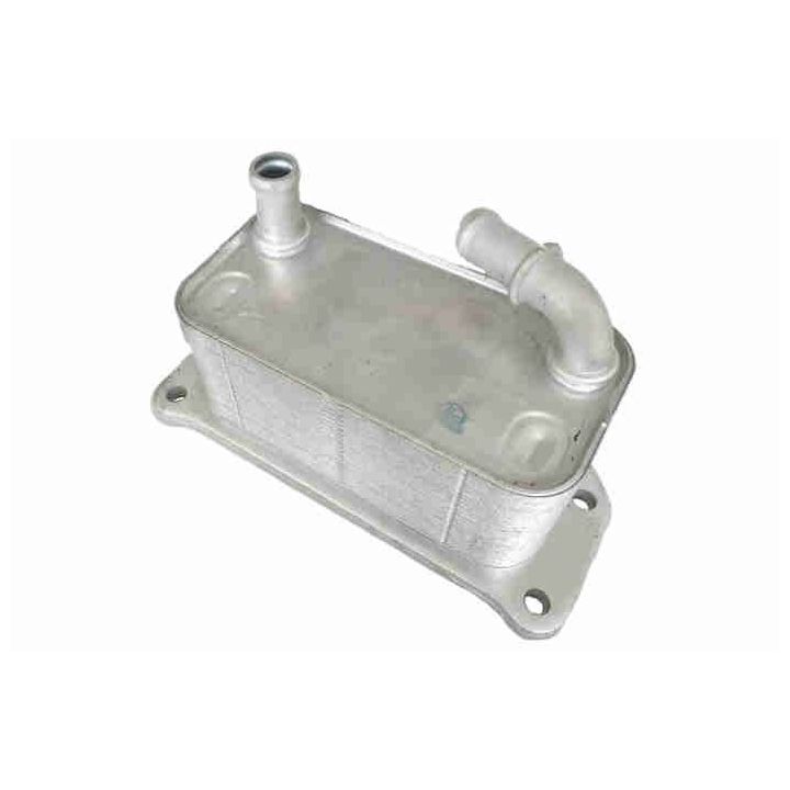 Alyvos aušintuvas, variklio alyva VEMO V95-60-0022