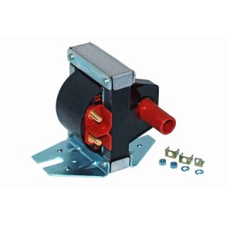 Ritė, uždegimas VEMO V10-70-0073