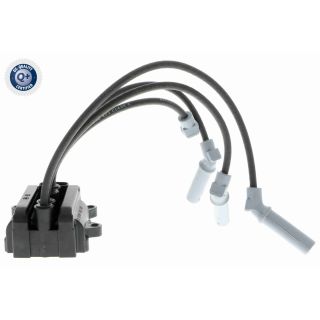 Ritė, uždegimas VEMO V21-70-0001