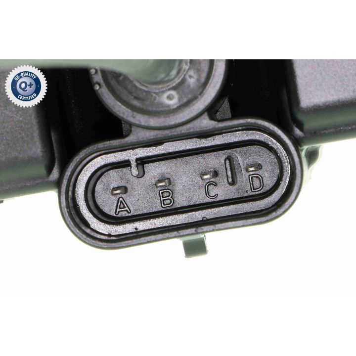 Ritė, uždegimas VEMO V21-70-0001