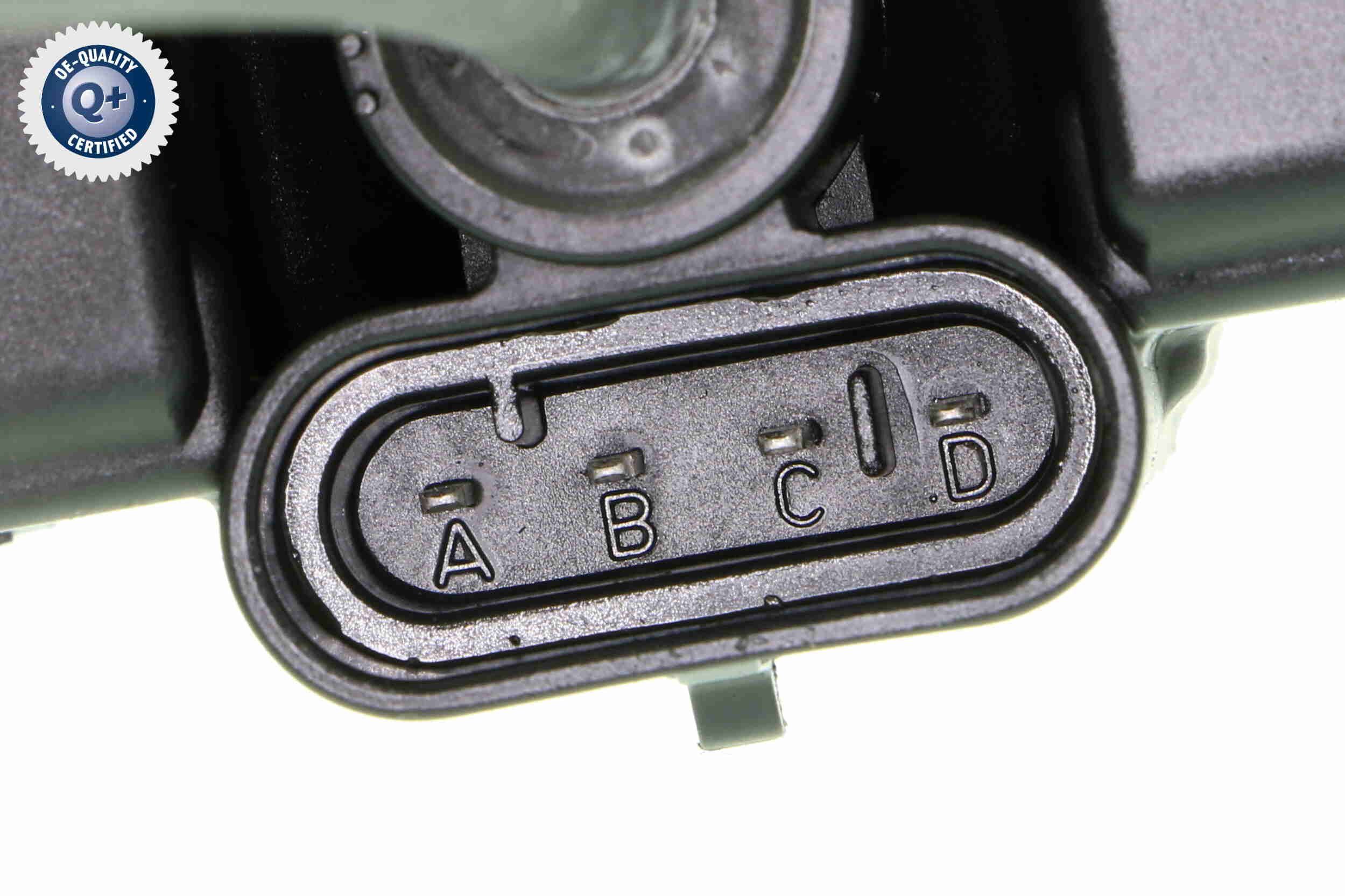 Ritė, uždegimas VEMO V21-70-0001