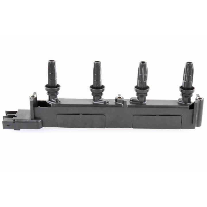 Ritė, uždegimas VEMO V22-70-0007