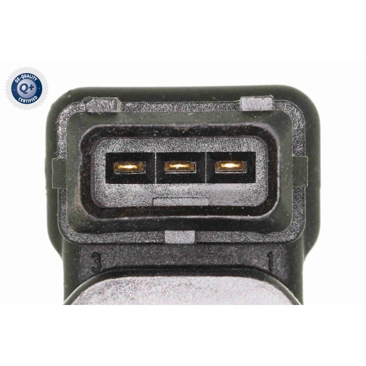 Ritė, uždegimas VEMO V22-70-0025