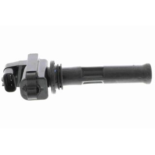 Ritė, uždegimas VEMO V24-70-0002