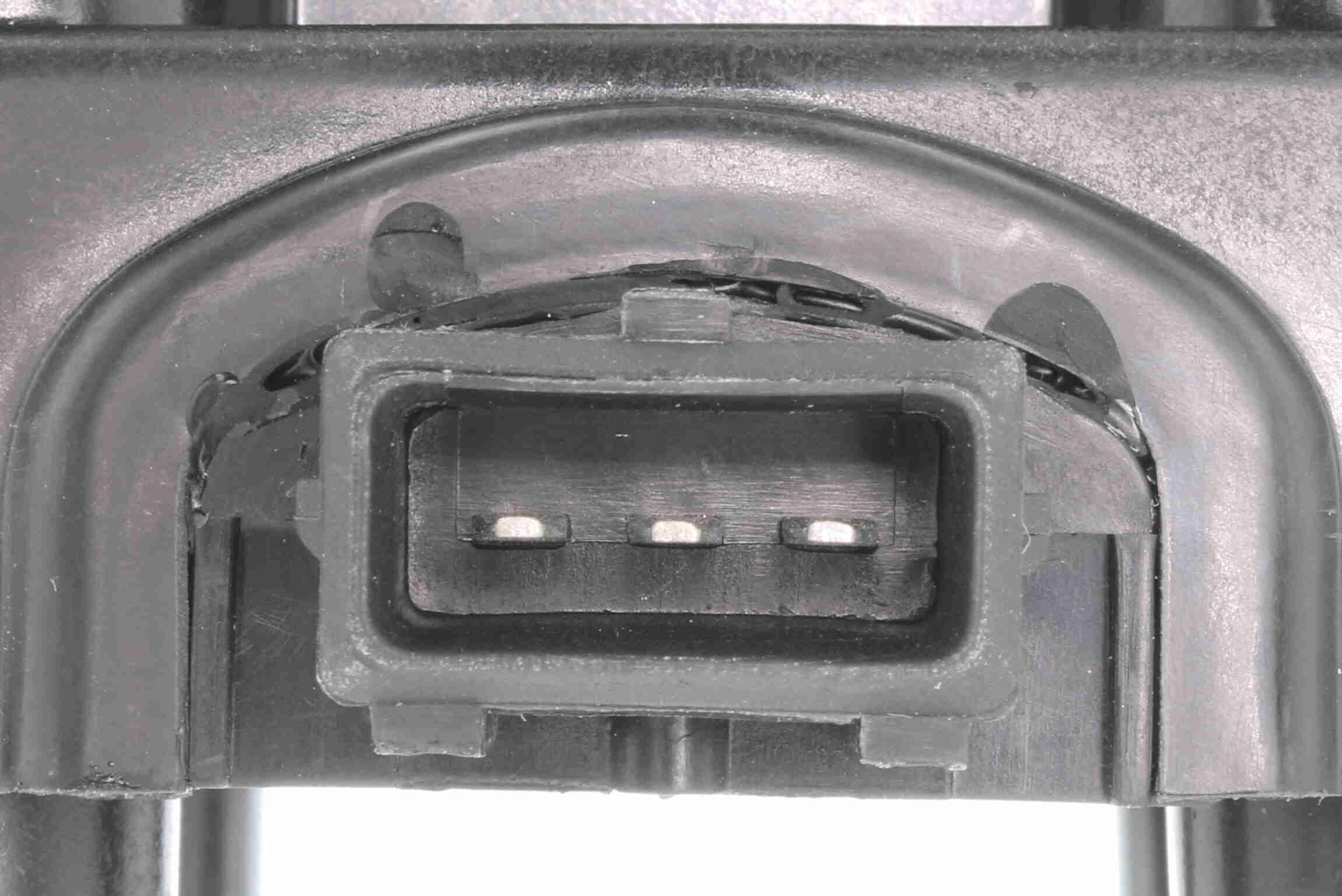 Ritė, uždegimas VEMO V24-70-0006