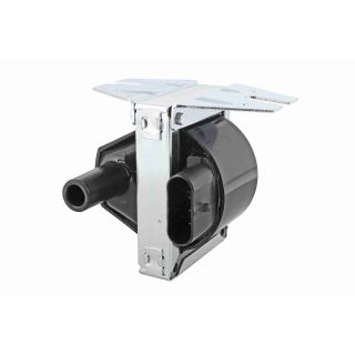 Ritė, uždegimas VEMO V24-70-0012