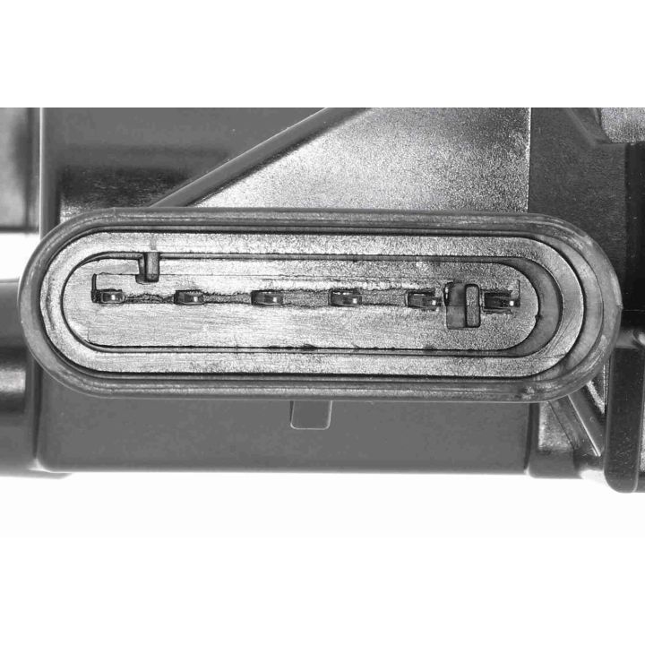 Ritė, uždegimas VEMO V24-70-0028