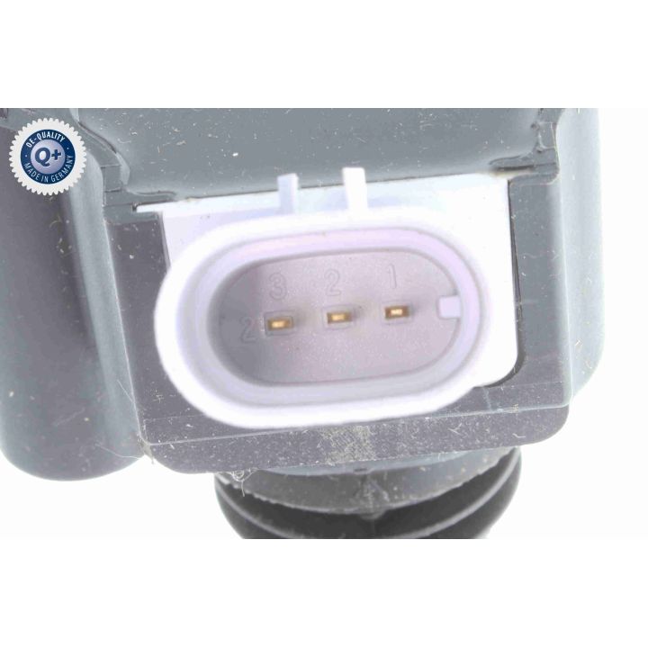 Ritė, uždegimas VEMO V24-70-0041