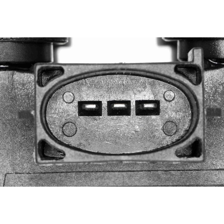 Ritė, uždegimas VEMO V25-70-0006