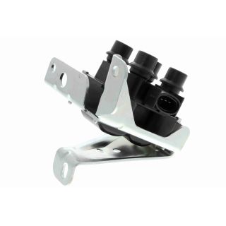 Ritė, uždegimas VEMO V25-70-0007