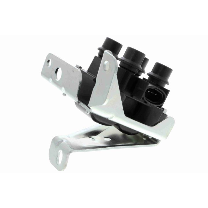 Ritė, uždegimas VEMO V25-70-0007