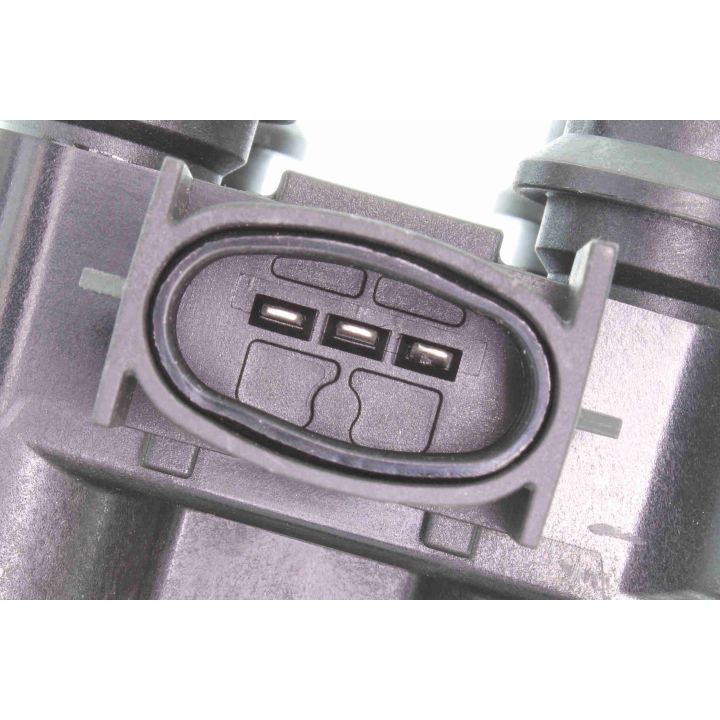 Ritė, uždegimas VEMO V25-70-0007