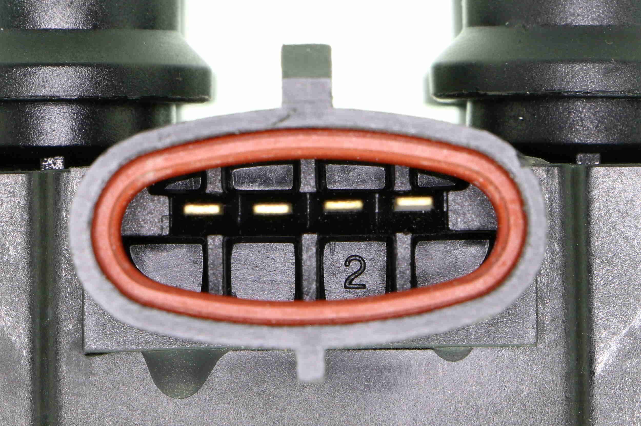 Ritė, uždegimas VEMO V25-70-0012