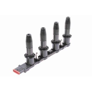 Ritė, uždegimas VEMO V40-70-0017